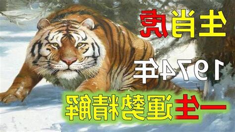 1974 年 生肖